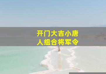 开门大吉小唐人组合将军令