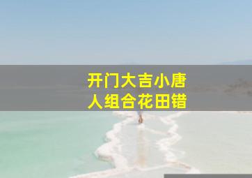 开门大吉小唐人组合花田错