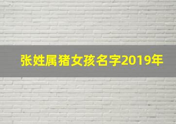 张姓属猪女孩名字2019年