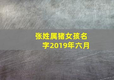 张姓属猪女孩名字2019年六月