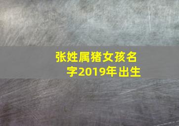 张姓属猪女孩名字2019年出生