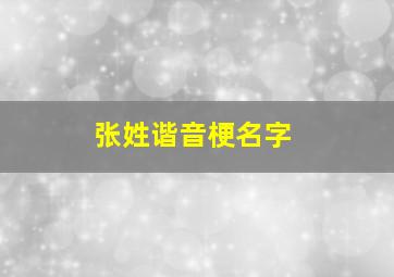 张姓谐音梗名字