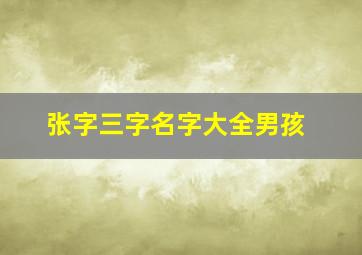 张字三字名字大全男孩