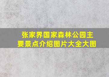 张家界国家森林公园主要景点介绍图片大全大图