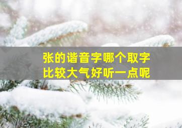 张的谐音字哪个取字比较大气好听一点呢