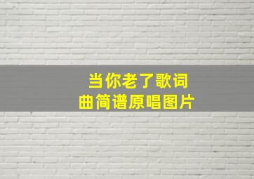 当你老了歌词曲简谱原唱图片