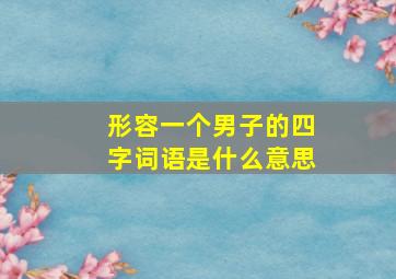 形容一个男子的四字词语是什么意思