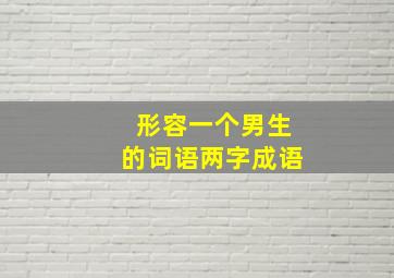 形容一个男生的词语两字成语