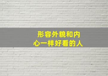 形容外貌和内心一样好看的人