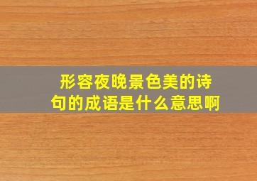 形容夜晚景色美的诗句的成语是什么意思啊