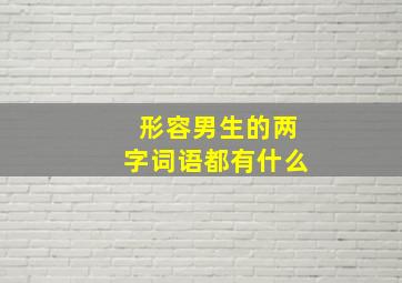 形容男生的两字词语都有什么