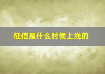 征信是什么时候上线的