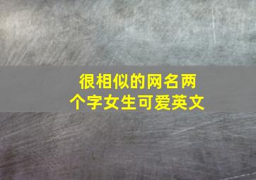 很相似的网名两个字女生可爱英文