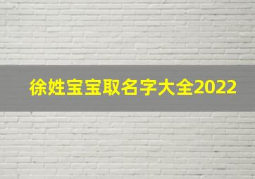 徐姓宝宝取名字大全2022