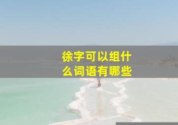 徐字可以组什么词语有哪些