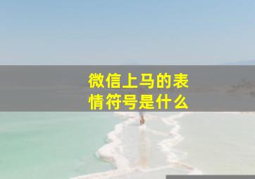 微信上马的表情符号是什么