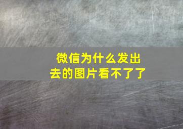 微信为什么发出去的图片看不了了