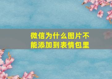 微信为什么图片不能添加到表情包里