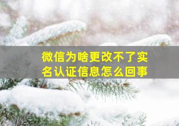 微信为啥更改不了实名认证信息怎么回事