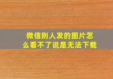 微信别人发的图片怎么看不了说是无法下载