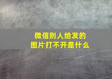 微信别人给发的图片打不开是什么