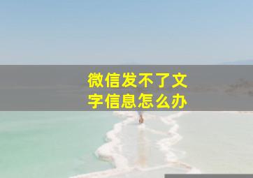 微信发不了文字信息怎么办