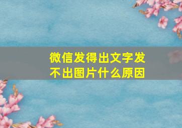 微信发得出文字发不出图片什么原因