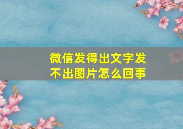 微信发得出文字发不出图片怎么回事