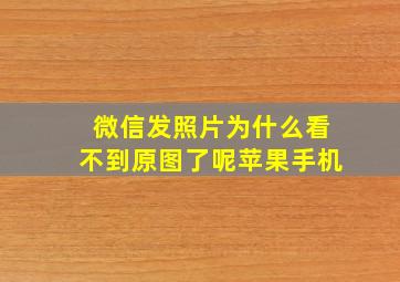 微信发照片为什么看不到原图了呢苹果手机