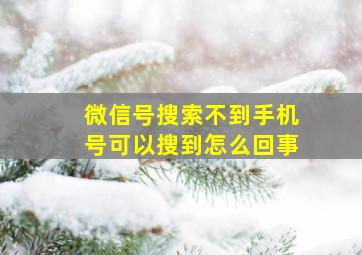 微信号搜索不到手机号可以搜到怎么回事