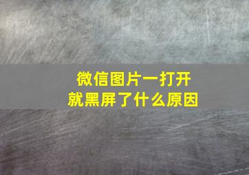 微信图片一打开就黑屏了什么原因