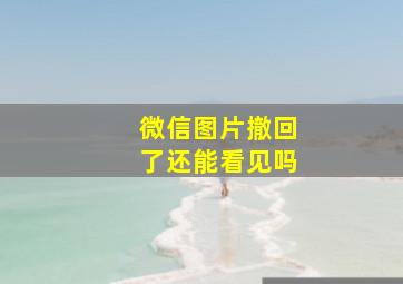 微信图片撤回了还能看见吗