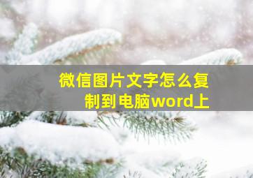 微信图片文字怎么复制到电脑word上