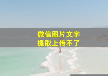 微信图片文字提取上传不了