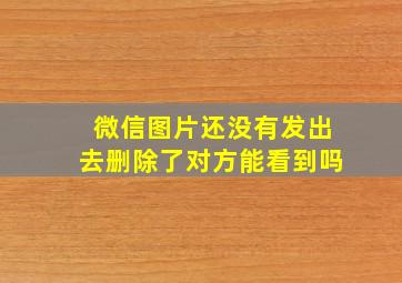 微信图片还没有发出去删除了对方能看到吗