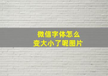 微信字体怎么变大小了呢图片