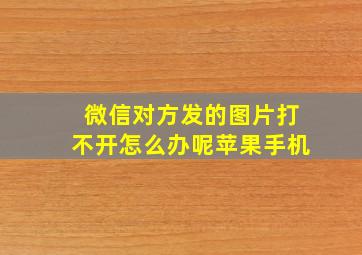 微信对方发的图片打不开怎么办呢苹果手机