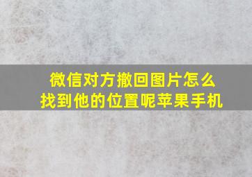 微信对方撤回图片怎么找到他的位置呢苹果手机