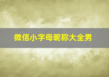 微信小字母昵称大全男