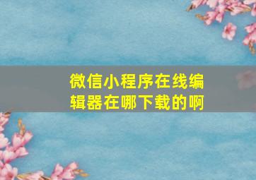 微信小程序在线编辑器在哪下载的啊