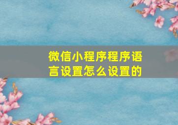 微信小程序程序语言设置怎么设置的