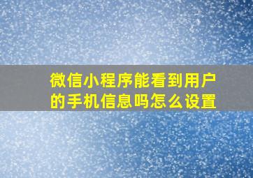 微信小程序能看到用户的手机信息吗怎么设置