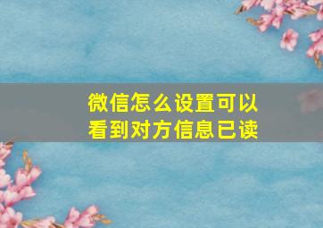 微信怎么设置可以看到对方信息已读