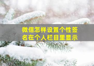 微信怎样设置个性签名在个人栏目里显示