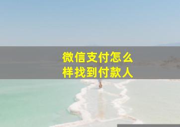 微信支付怎么样找到付款人