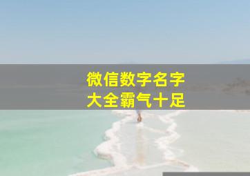 微信数字名字大全霸气十足