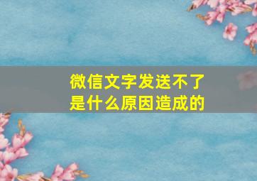 微信文字发送不了是什么原因造成的