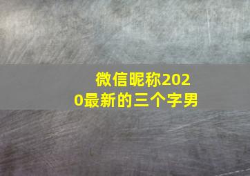 微信昵称2020最新的三个字男