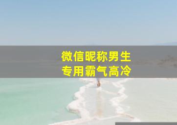 微信昵称男生专用霸气高冷