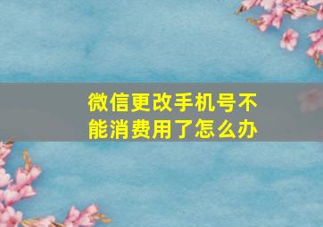 微信更改手机号不能消费用了怎么办